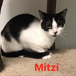Photo of Mitzi