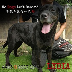Photo of Lydia 4463