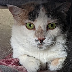 Thumbnail photo of Ruthie #1