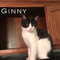 Thumbnail photo of Ginny #3