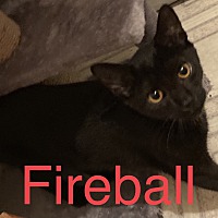 Photo of Fireball