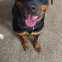 Photo of Bruno
