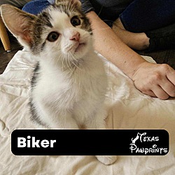 Photo of Biker