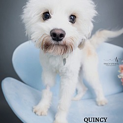 Photo of Quincy