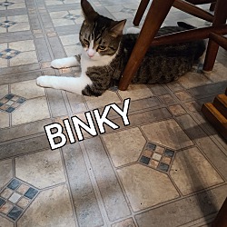 Thumbnail photo of BINKY #1