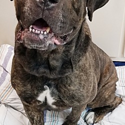 Photo of Faith