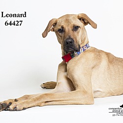 Thumbnail photo of Leonard #1