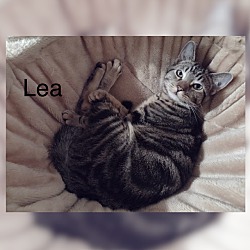 Thumbnail photo of Lea #4