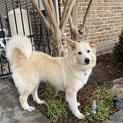 Photo of Cloud
