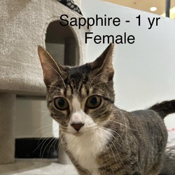 Photo of Sapphire