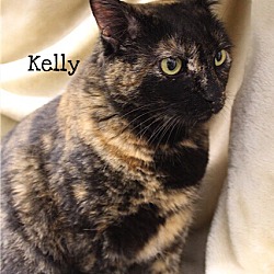 Thumbnail photo of Kelly #1