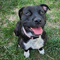 Photo of VIOLET