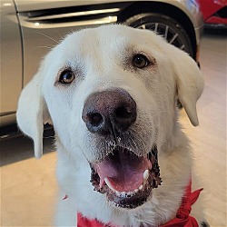 Photo of Lola