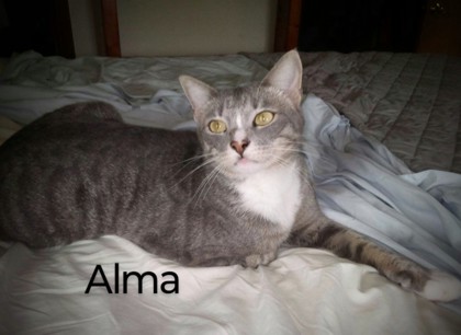 Photo of Alma