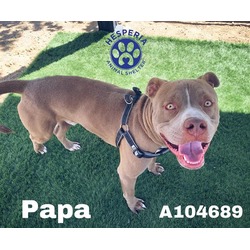 Photo of PAPA