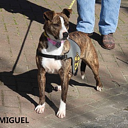 Thumbnail photo of Miguel #3
