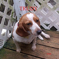 Photo of TRUDY
