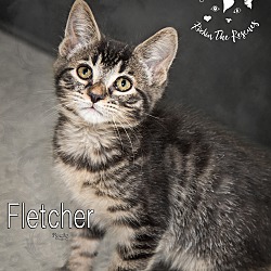Thumbnail photo of Fletcher #2