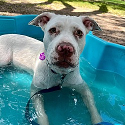 Thumbnail photo of Molly Doll Loves Water #3