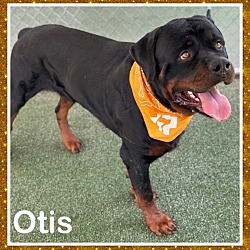 Thumbnail photo of OTIS #2