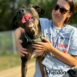 Thumbnail photo of Sheldon #4