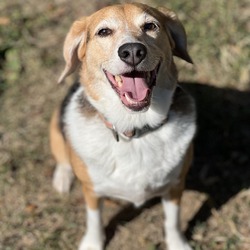 Photo of Bentley