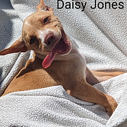 Photo of Daisy Jones