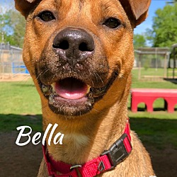 Thumbnail photo of Bella #2