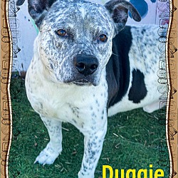 Photo of Duggie