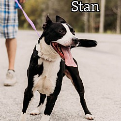 Thumbnail photo of Stan #1