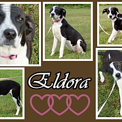 Photo of Eldora