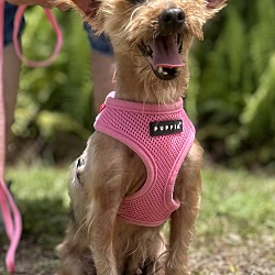 Photo of Matilda