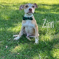 Photo of Zion