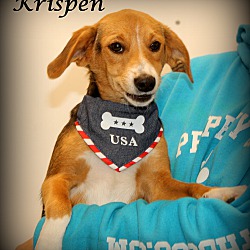 Thumbnail photo of Krispen ~ meet me! #2