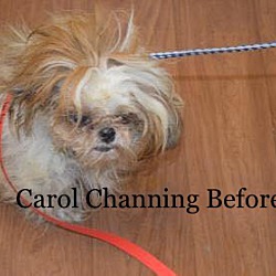 Thumbnail photo of Carol Channing #2