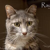 Photo of RAYA