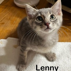 Thumbnail photo of Lenny DM #1