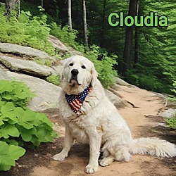 Thumbnail photo of Cloudia (2) in NH #1