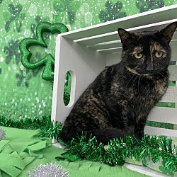 Photo of Polly