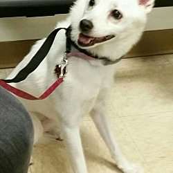 Photo of Snow White-Adopted