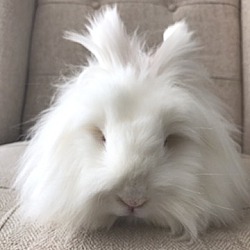 Photo of Francesca