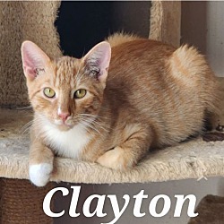 Photo of Clayton