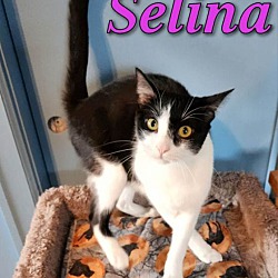 Photo of Selina