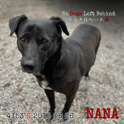 Photo of Nana 4153