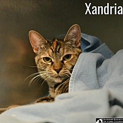 Photo of Xandria