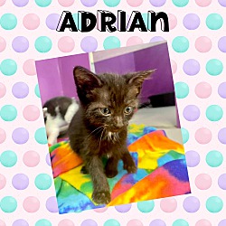Photo of Adrian