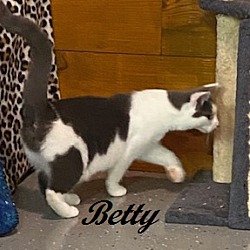 Thumbnail photo of Betty #4