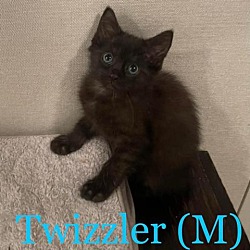 Photo of Twizzler