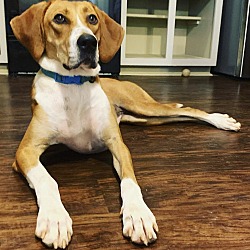 Photo of Beatrice (Betty)