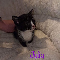 Photo of Julia